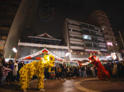 {{brizy_dc_image_alt entityId=