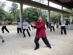 {{brizy_dc_image_alt entityId=