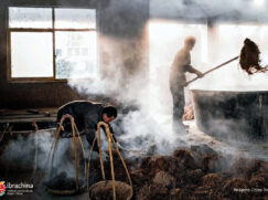 {{brizy_dc_image_alt entityId=