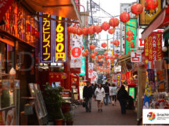 {{brizy_dc_image_alt entityId=