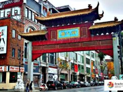 {{brizy_dc_image_alt entityId=