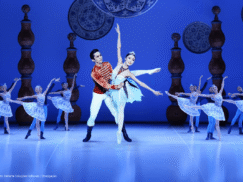 {{brizy_dc_image_alt entityId=