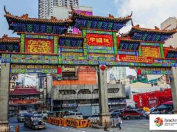 {{brizy_dc_image_alt entityId=