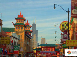 {{brizy_dc_image_alt entityId=