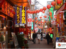 {{brizy_dc_image_alt entityId=