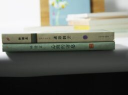 {{brizy_dc_image_alt entityId=