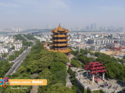 {{brizy_dc_image_alt entityId=