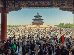 {{brizy_dc_image_alt entityId=