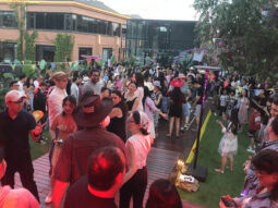 {{brizy_dc_image_alt entityId=