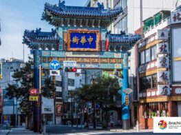 {{brizy_dc_image_alt entityId=