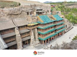 {{brizy_dc_image_alt entityId=