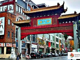 {{brizy_dc_image_alt entityId=