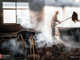 {{brizy_dc_image_alt entityId=