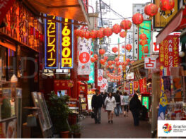 {{brizy_dc_image_alt entityId=