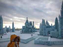 {{brizy_dc_image_alt entityId=