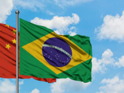 {{brizy_dc_image_alt entityId=