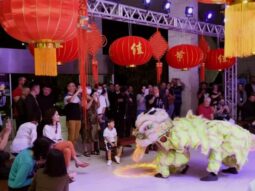 {{brizy_dc_image_alt entityId=