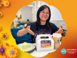 {{brizy_dc_image_alt entityId=