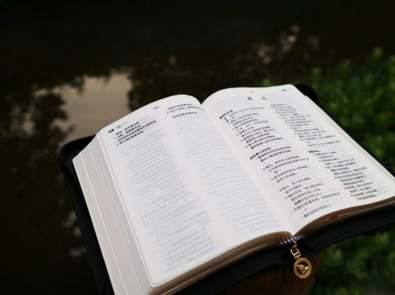 {{brizy_dc_image_alt entityId=