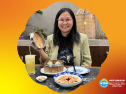 {{brizy_dc_image_alt entityId=