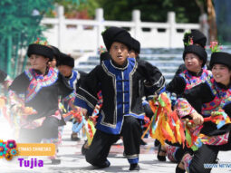 {{brizy_dc_image_alt entityId=