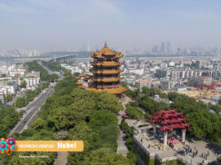 {{brizy_dc_image_alt entityId=