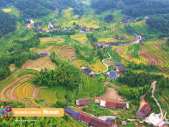 {{brizy_dc_image_alt entityId=