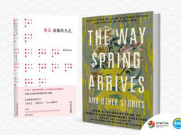 {{brizy_dc_image_alt entityId=