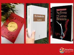 {{brizy_dc_image_alt entityId=