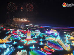 {{brizy_dc_image_alt entityId=