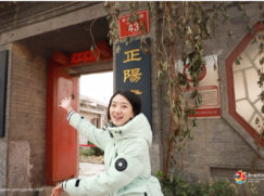 {{brizy_dc_image_alt entityId=