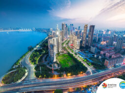 {{brizy_dc_image_alt entityId=