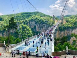 {{brizy_dc_image_alt entityId=