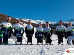 {{brizy_dc_image_alt entityId=