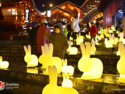 {{brizy_dc_image_alt entityId=