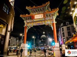 {{brizy_dc_image_alt entityId=