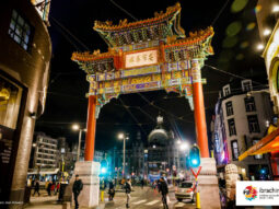 {{brizy_dc_image_alt entityId=