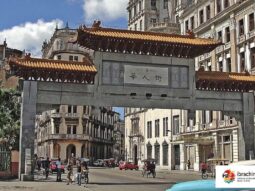 {{brizy_dc_image_alt entityId=