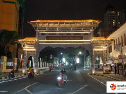 {{brizy_dc_image_alt entityId=