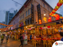 {{brizy_dc_image_alt entityId=