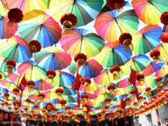 {{brizy_dc_image_alt entityId=