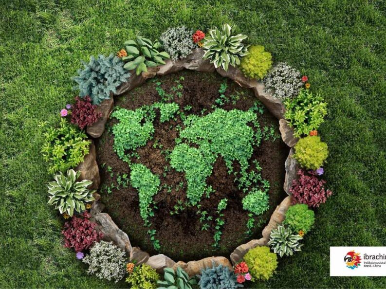 {{brizy_dc_image_alt entityId=