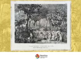 {{brizy_dc_image_alt entityId=