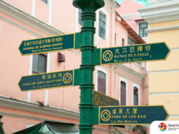 {{brizy_dc_image_alt entityId=