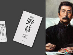 {{brizy_dc_image_alt entityId=