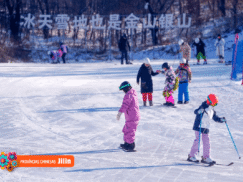 {{brizy_dc_image_alt entityId=