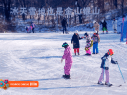 {{brizy_dc_image_alt entityId=