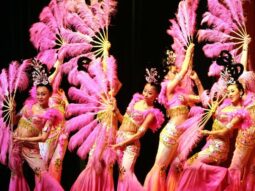 {{brizy_dc_image_alt entityId=