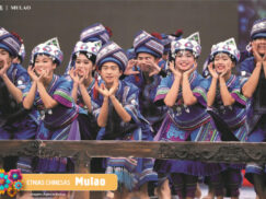 {{brizy_dc_image_alt entityId=