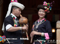 {{brizy_dc_image_alt entityId=